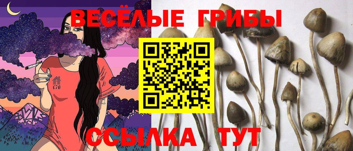 Псилоцибиновые грибы ЛСД Бирск