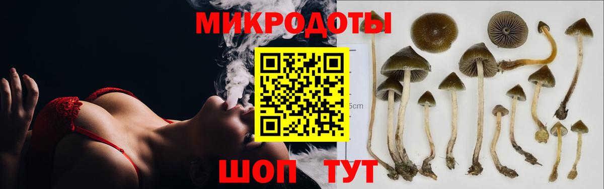 Галлюциногенные грибы ЛСД  Вход с VPN  Бирск 